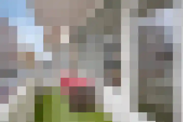 Wijngaardplein 16 Eindhoven thumbnail 27