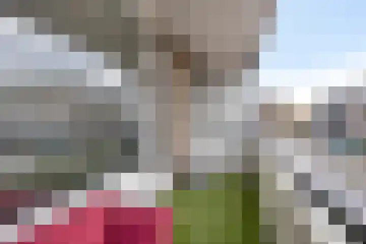 Wijngaardplein 16 Eindhoven thumbnail 28