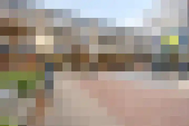 Wijngaardplein 16 Eindhoven thumbnail 35