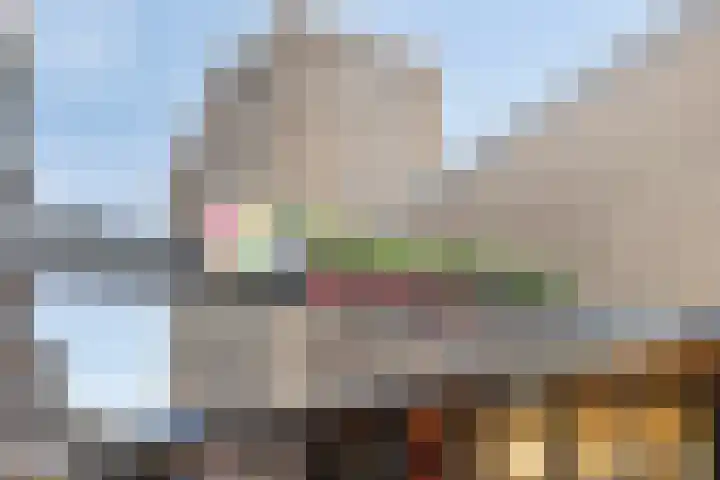 Wijngaardplein 16 Eindhoven thumbnail 36