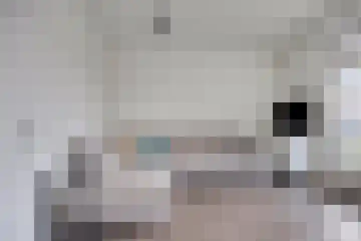 Wijngaardplein 16 Eindhoven thumbnail 9