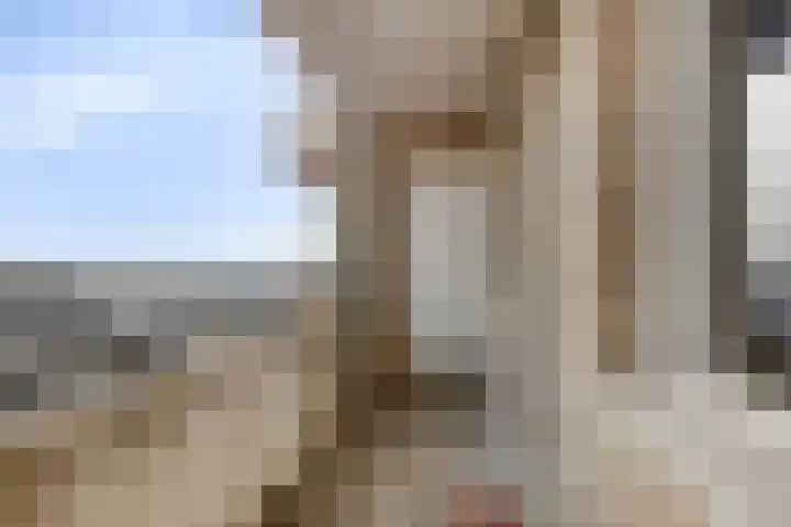 Wijngaardplein 30 Eindhoven thumbnail 27
