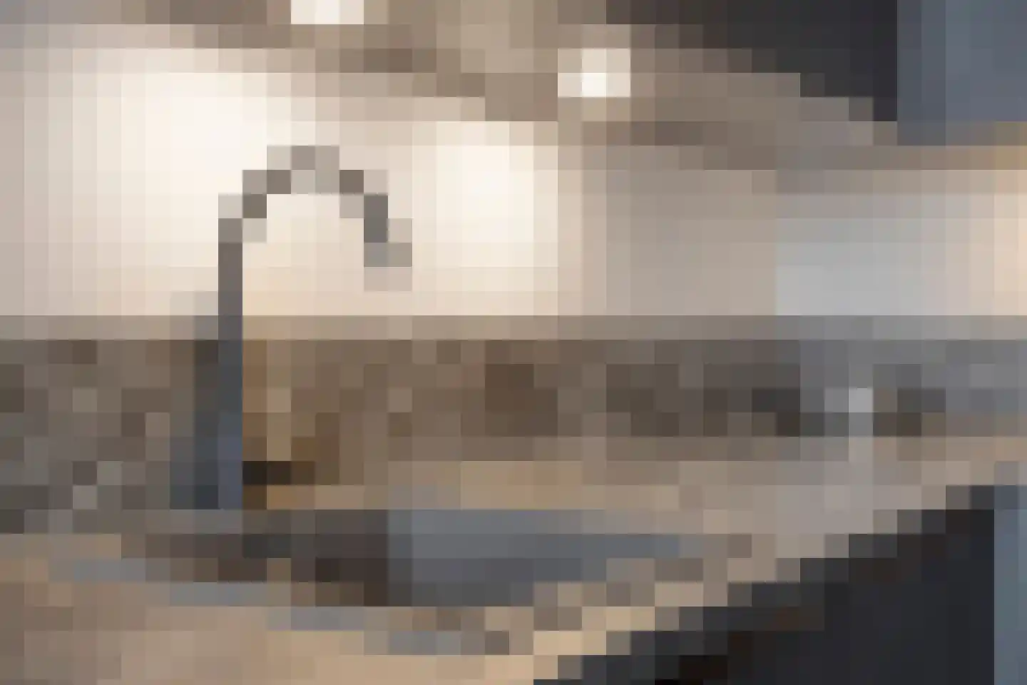 Wijngaardplein 34 Eindhoven thumbnail 26