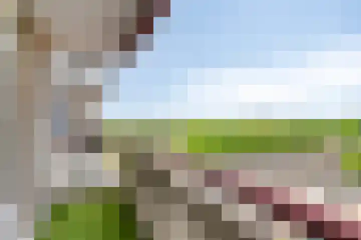 Wijngaardplein 35 Eindhoven thumbnail 12