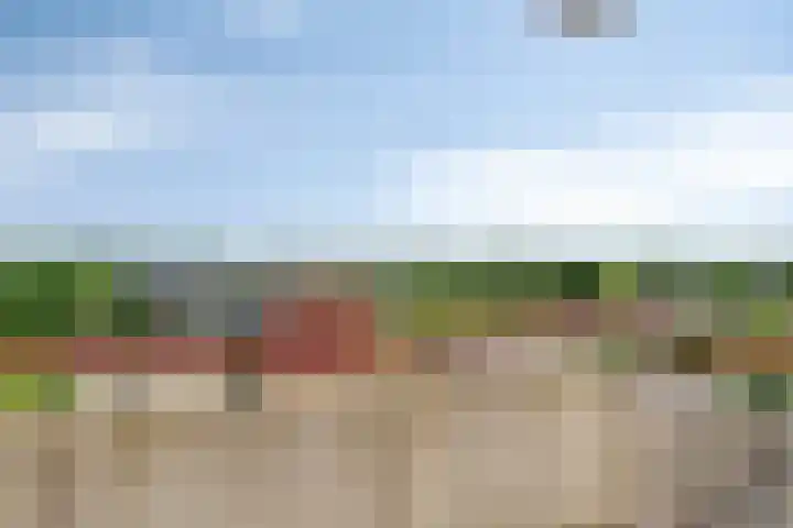 Wijngaardplein 35 Eindhoven thumbnail 15