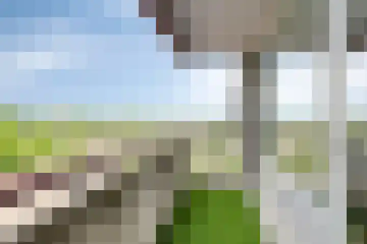 Wijngaardplein 35 Eindhoven thumbnail 6