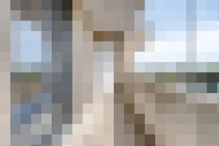 Wijngaardplein 35 Eindhoven thumbnail 7