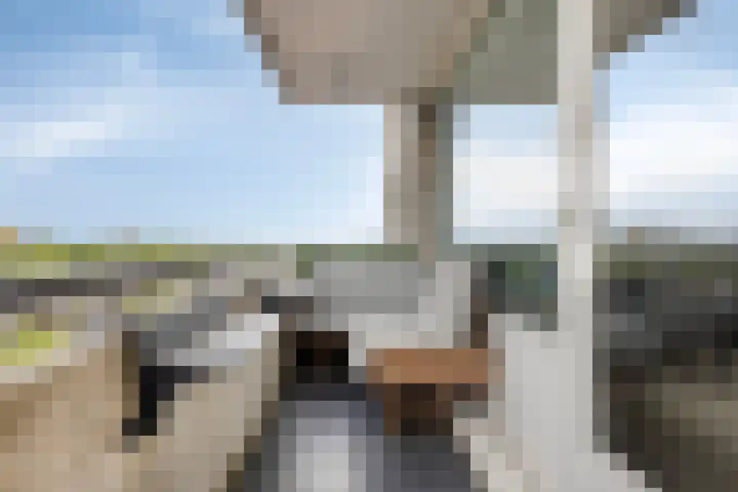 Wijngaardplein 38 Eindhoven thumbnail 19