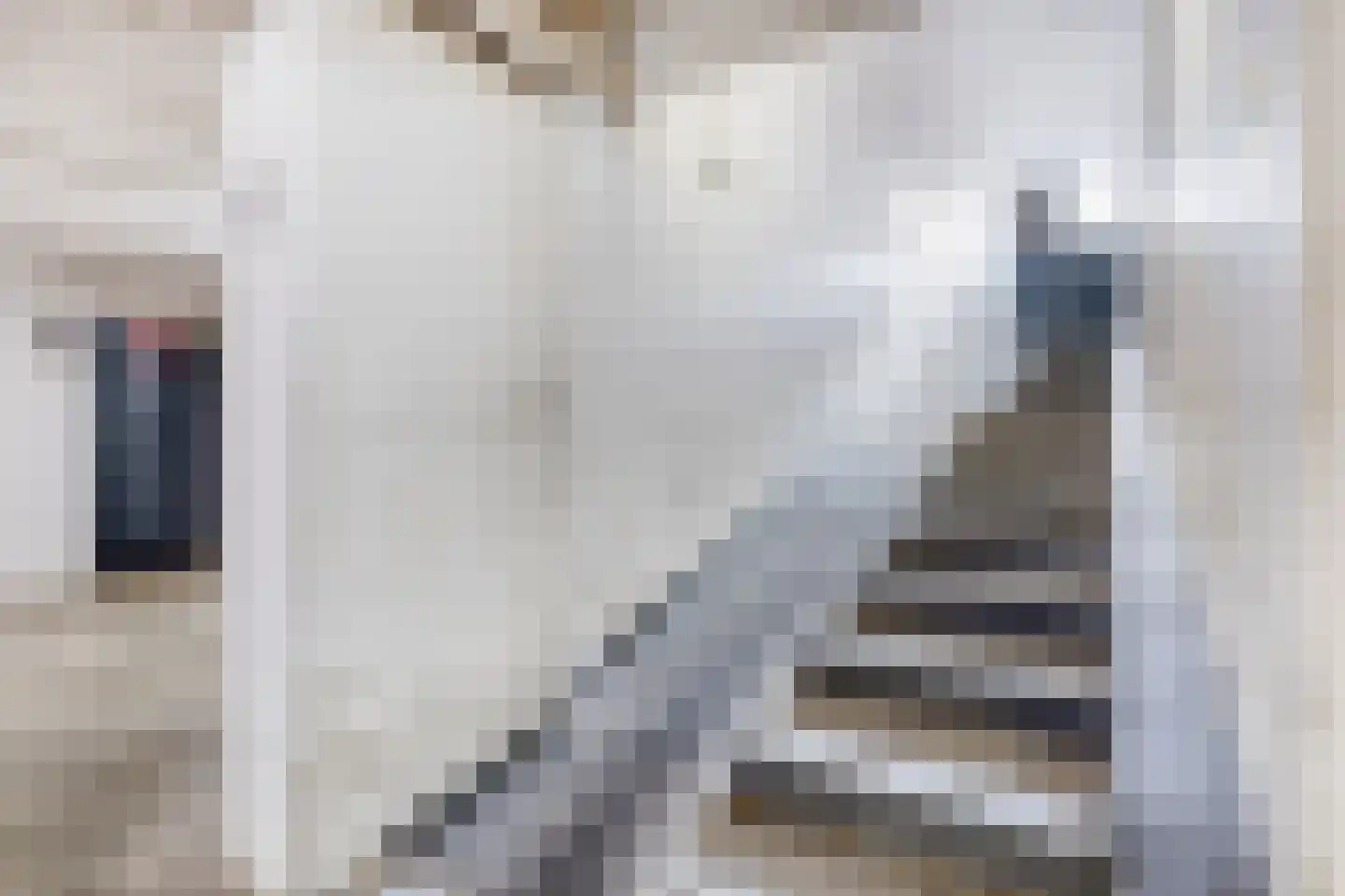Wijngaardplein 39 Eindhoven thumbnail 39