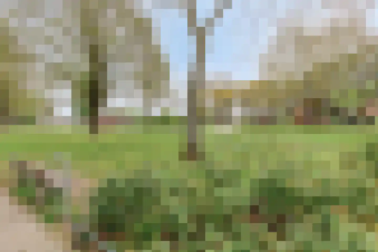 Wijngaardplein 39 Eindhoven thumbnail 40