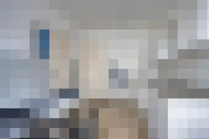 Wijngaardplein 4 Eindhoven thumbnail 20