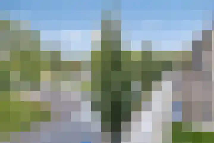 Wijngaardplein 4 Eindhoven thumbnail 37