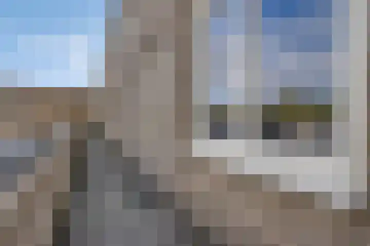 Wijngaardplein 4 Eindhoven thumbnail 8