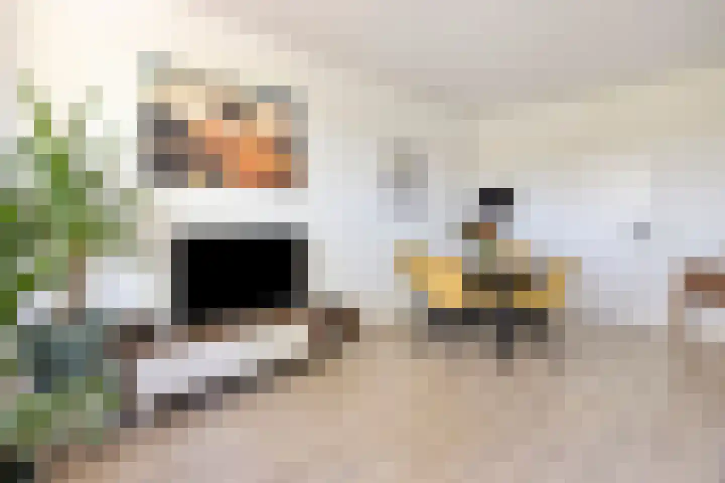 Wijngaardplein 5 Eindhoven thumbnail 14