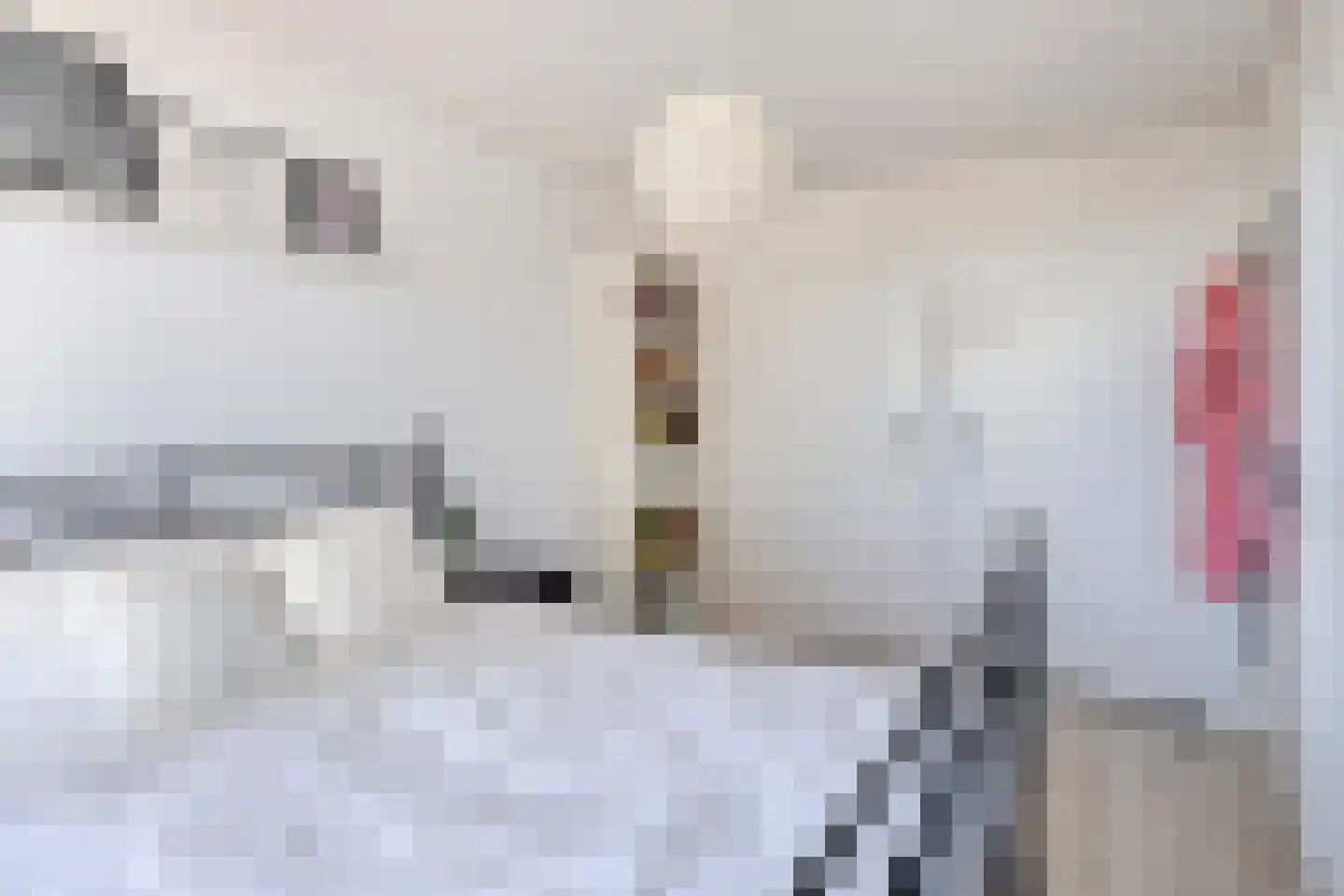 Wijngaardplein 5 Eindhoven thumbnail 25