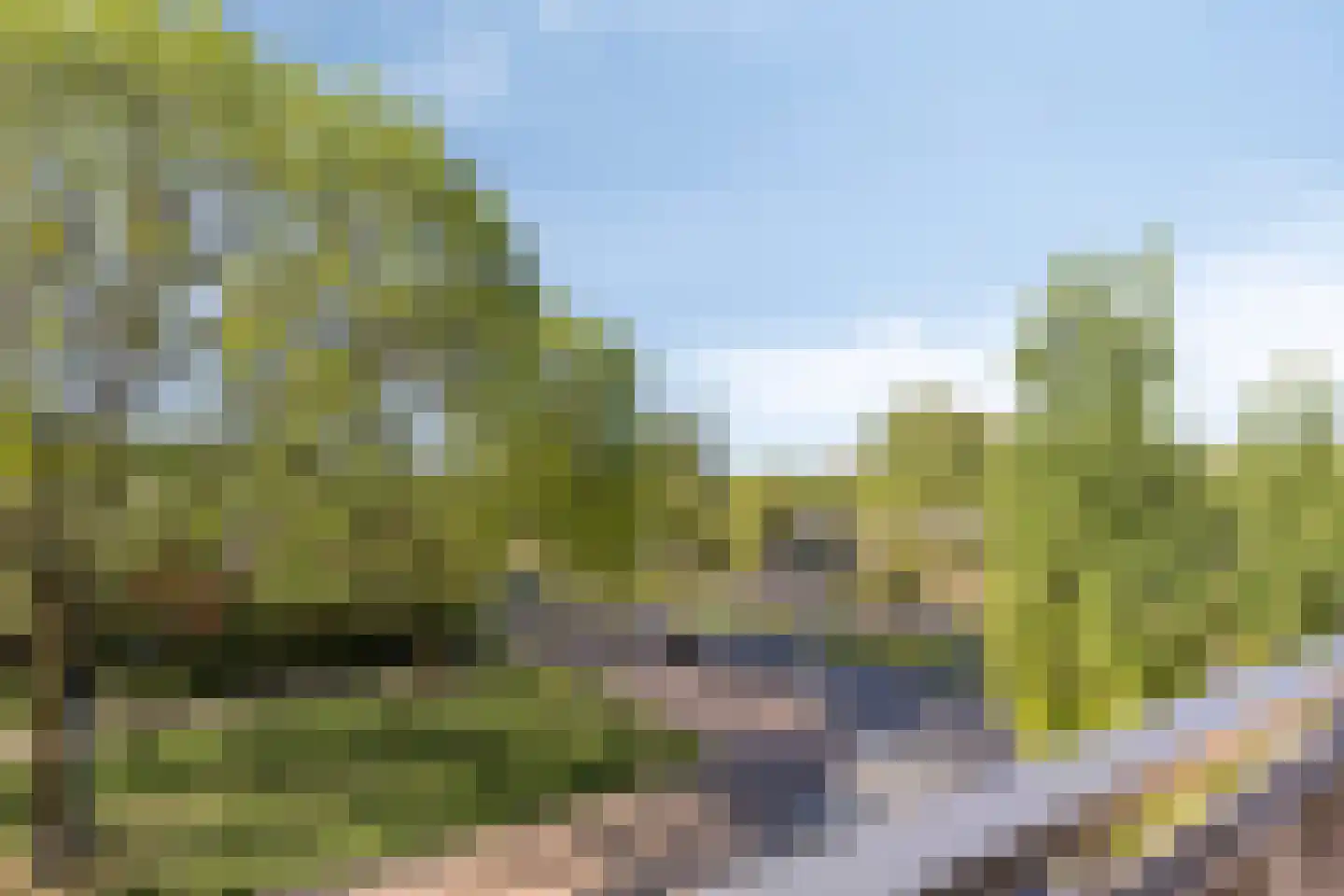 Wijngaardplein 5 Eindhoven thumbnail 32