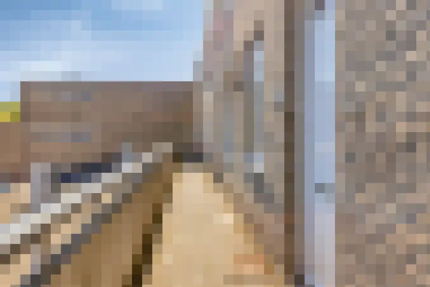Wijngaardplein 5 Eindhoven thumbnail 9