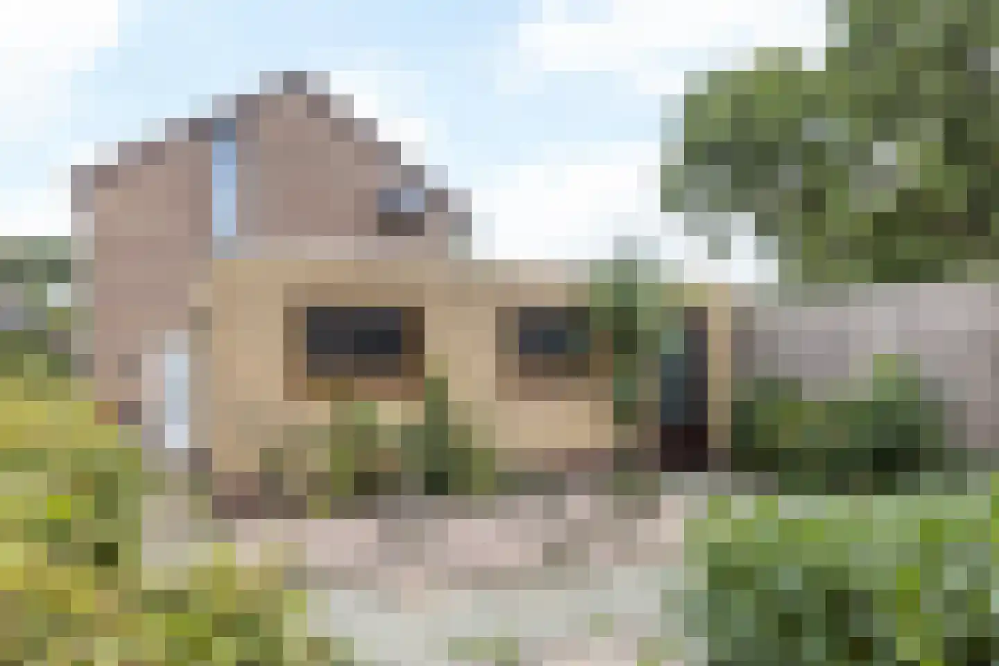 Wijngaardshage 2 Oirsbeek thumbnail 26
