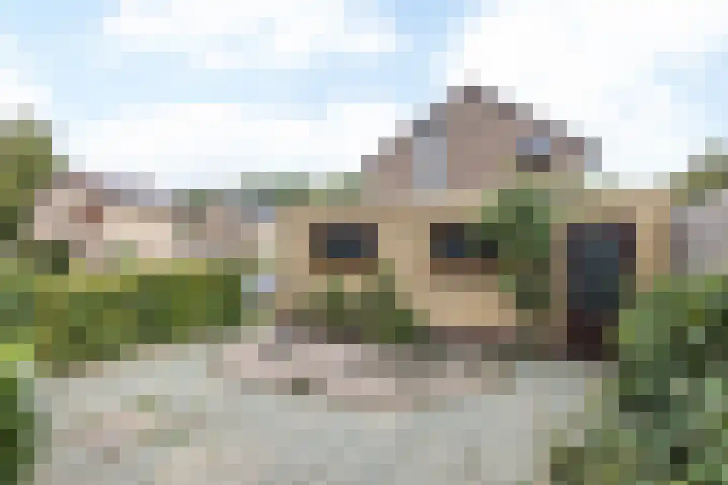 Wijngaardshage 2 Oirsbeek thumbnail 28