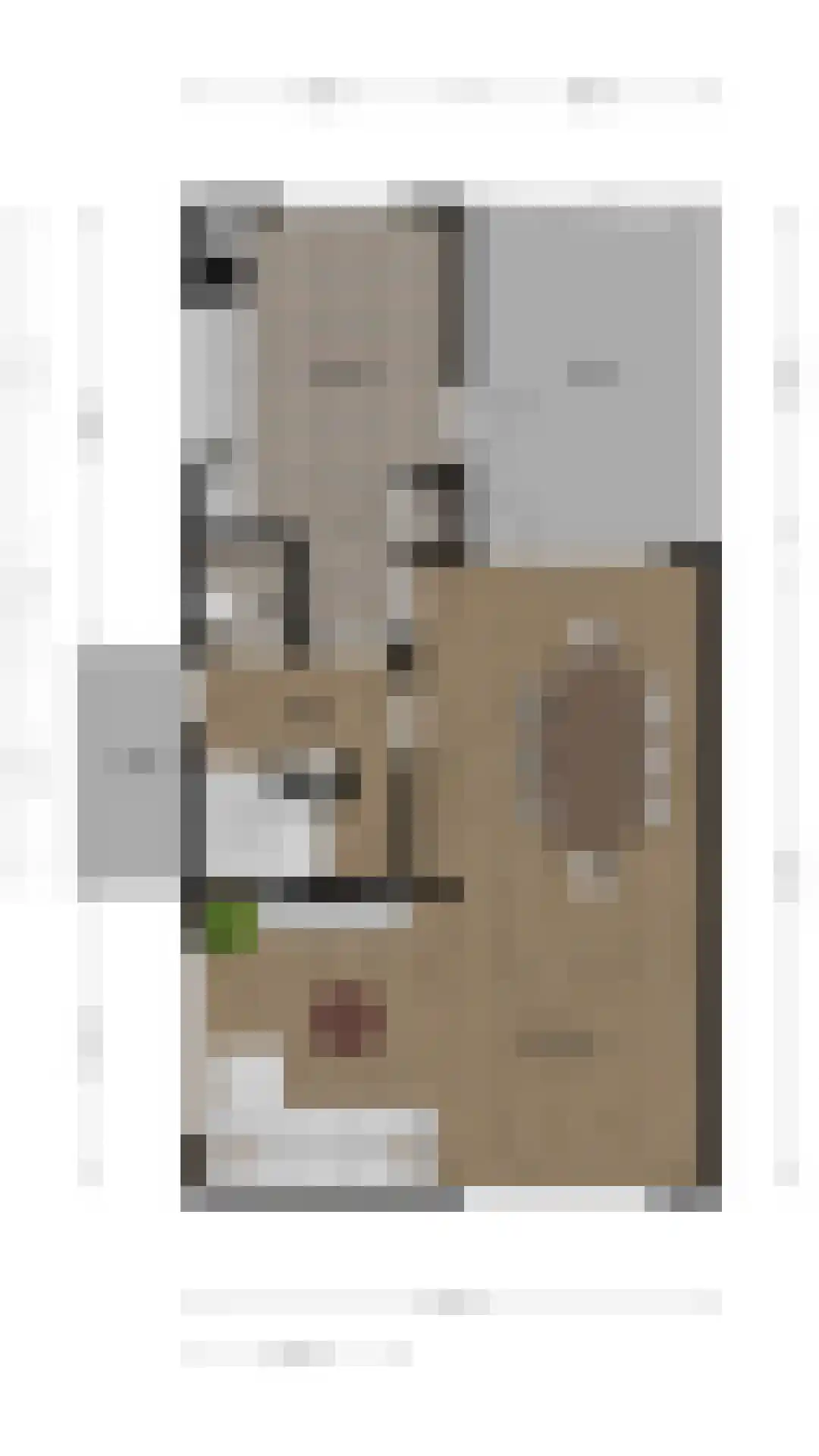 Wijngaardshage 2 Oirsbeek thumbnail 34