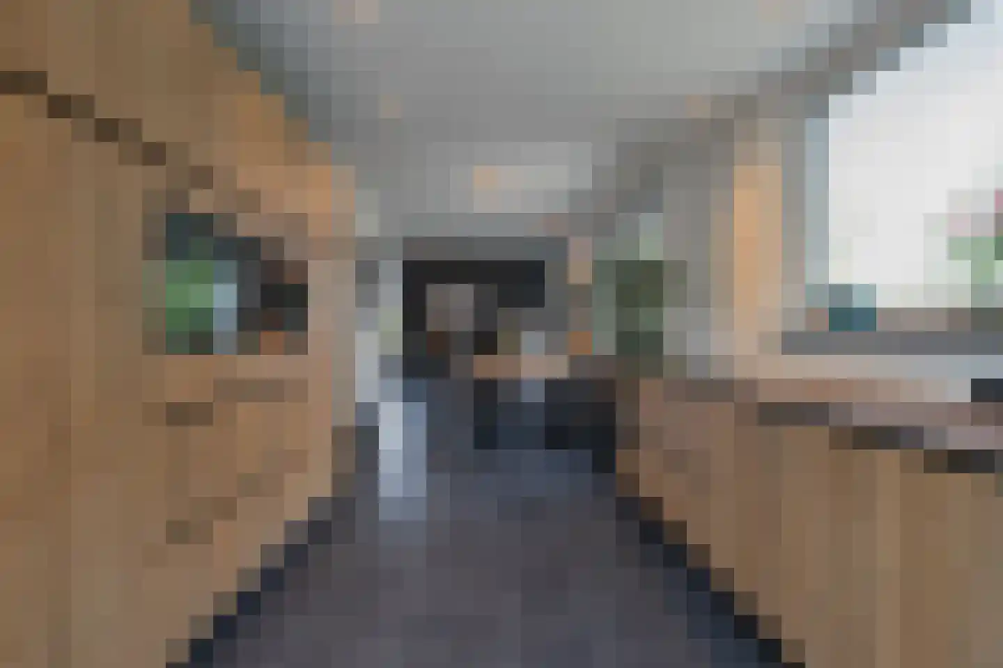 Wijngaardstraat 1 Elsloo thumbnail 11