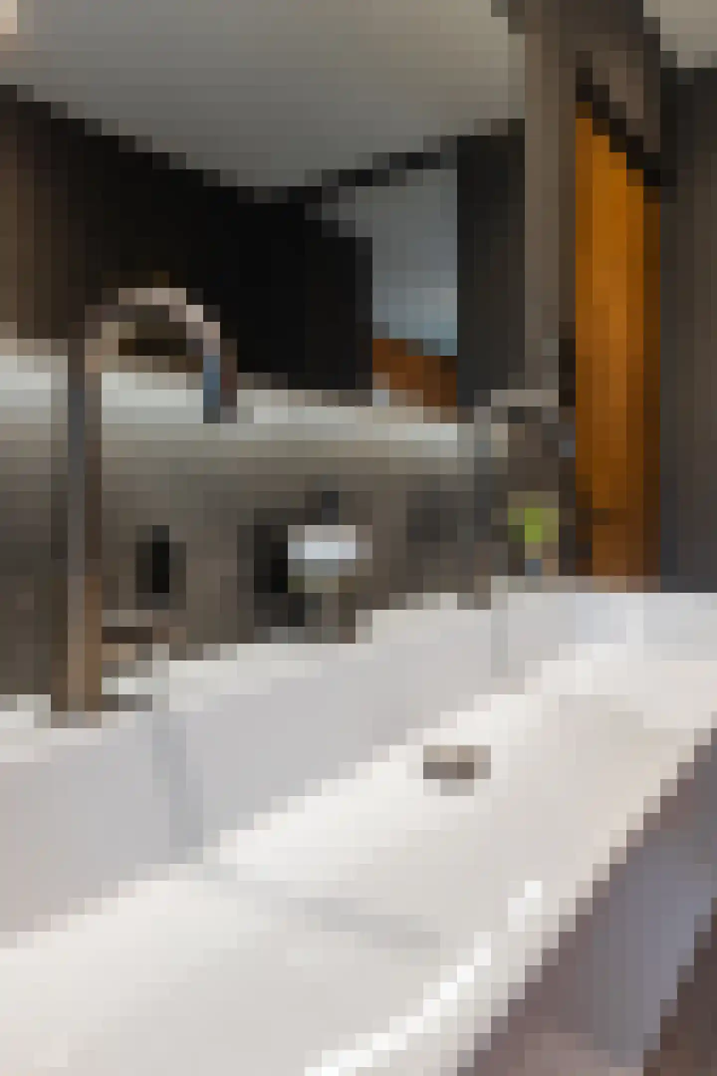 Wijngaardstraat 1 Elsloo thumbnail 17