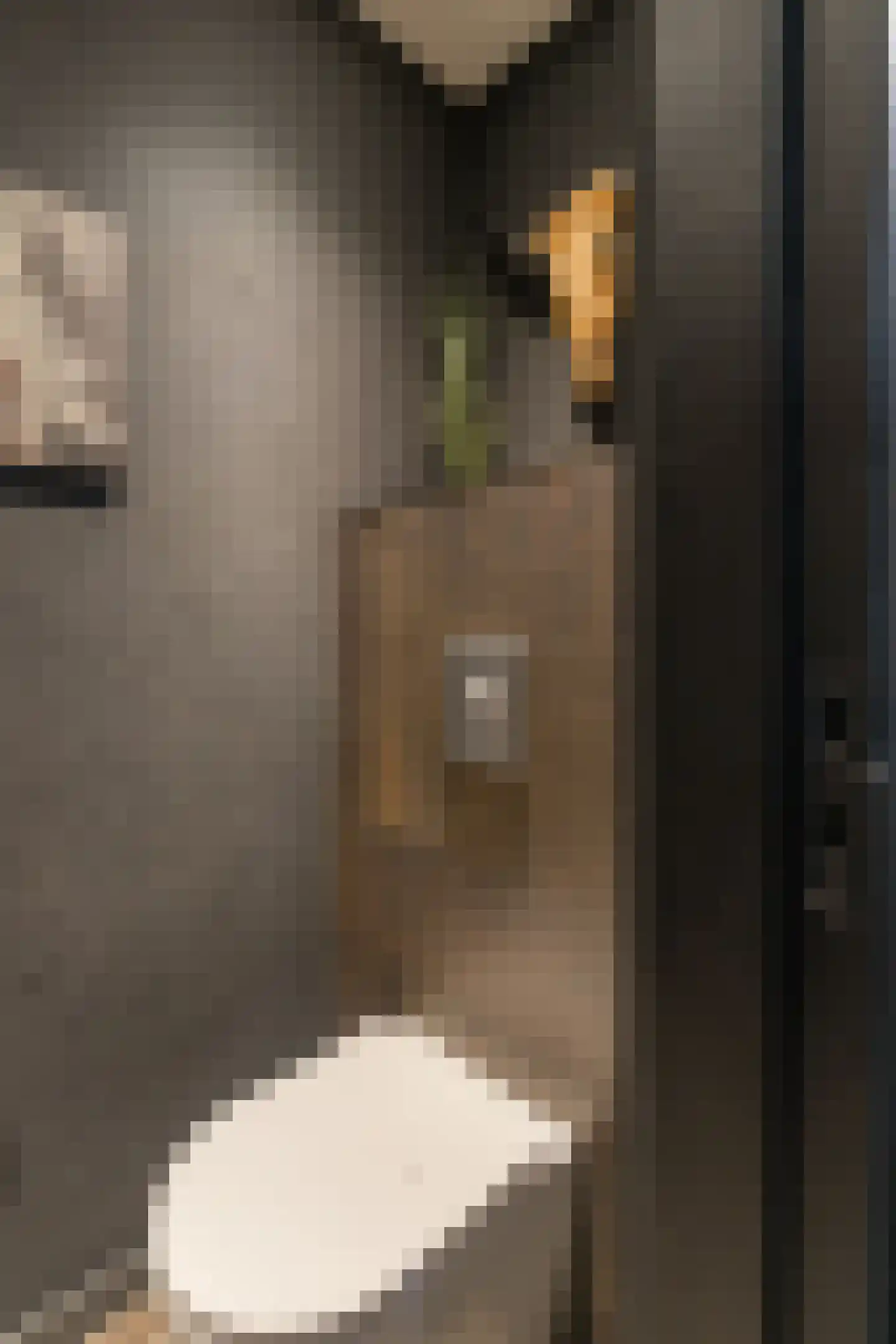 Wijngaardstraat 1 Elsloo thumbnail 18