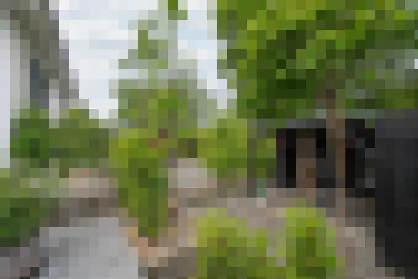 Wijngaardstraat 1 Elsloo thumbnail 30