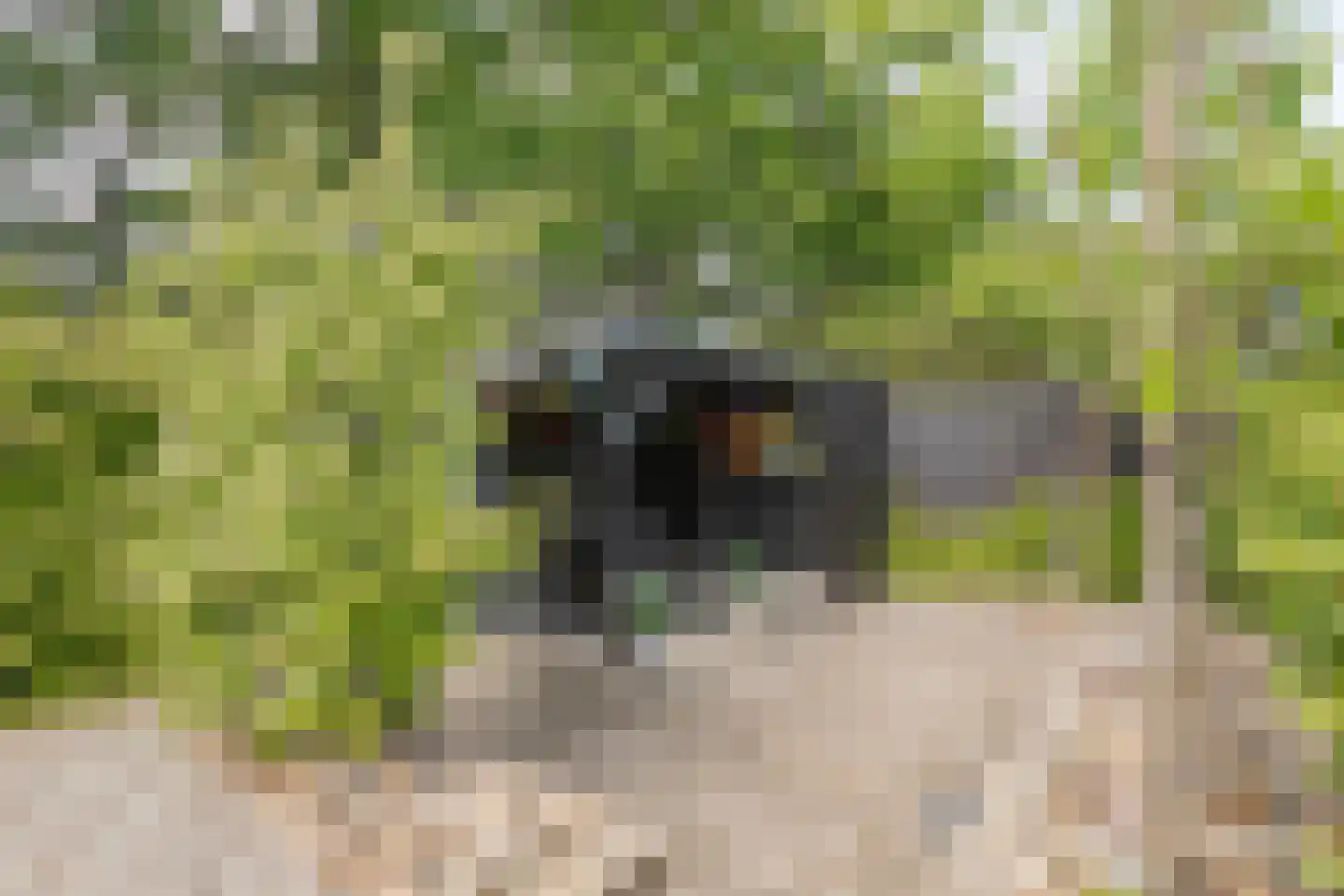 Wijngaardstraat 1 Elsloo thumbnail 31
