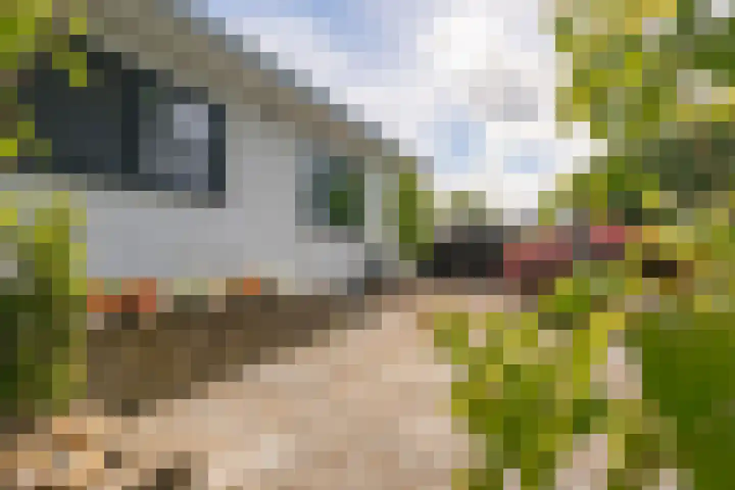 Wijngaardstraat 1 Elsloo thumbnail 32