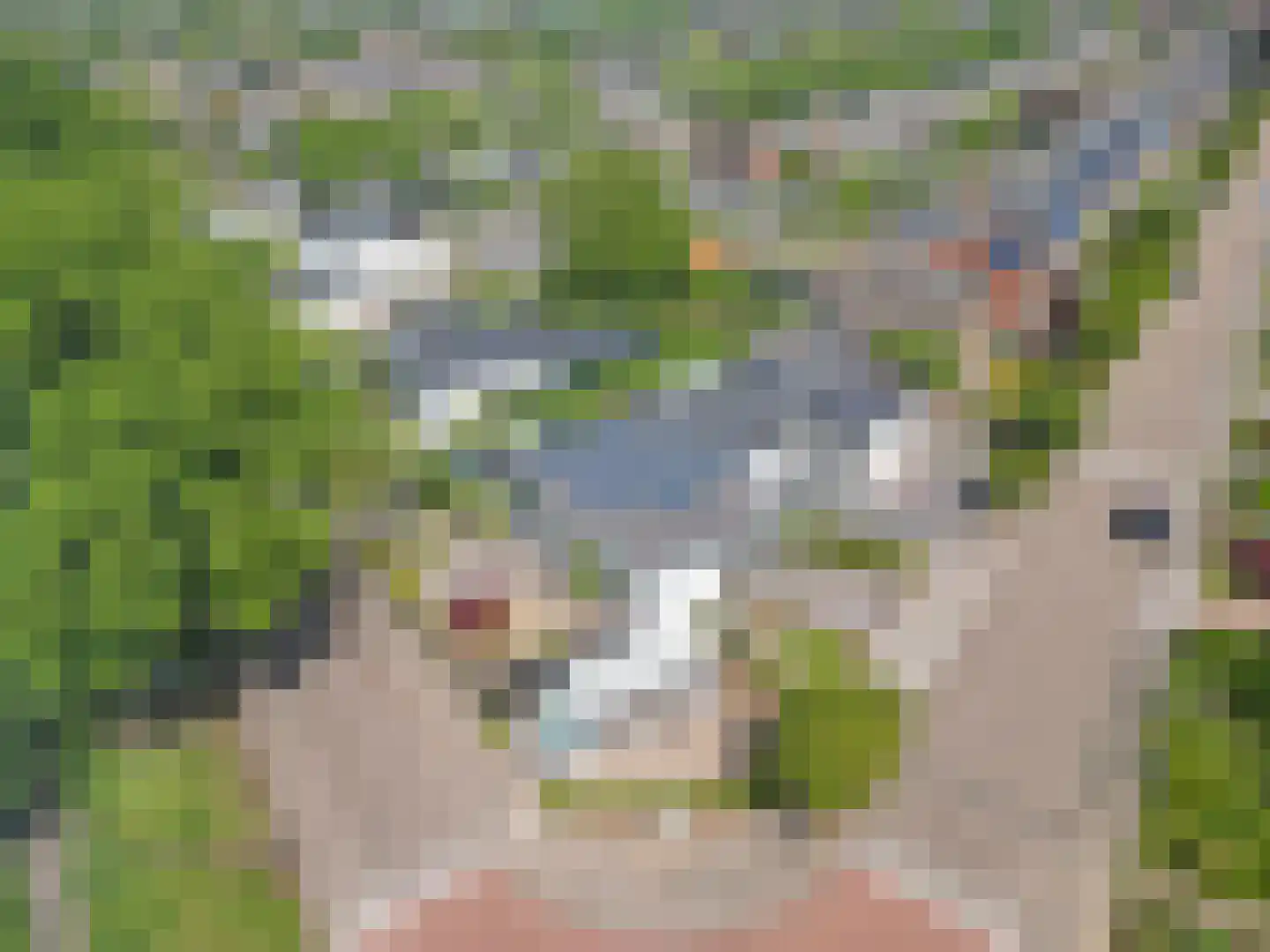 Wijngaardstraat 1 Elsloo thumbnail 35