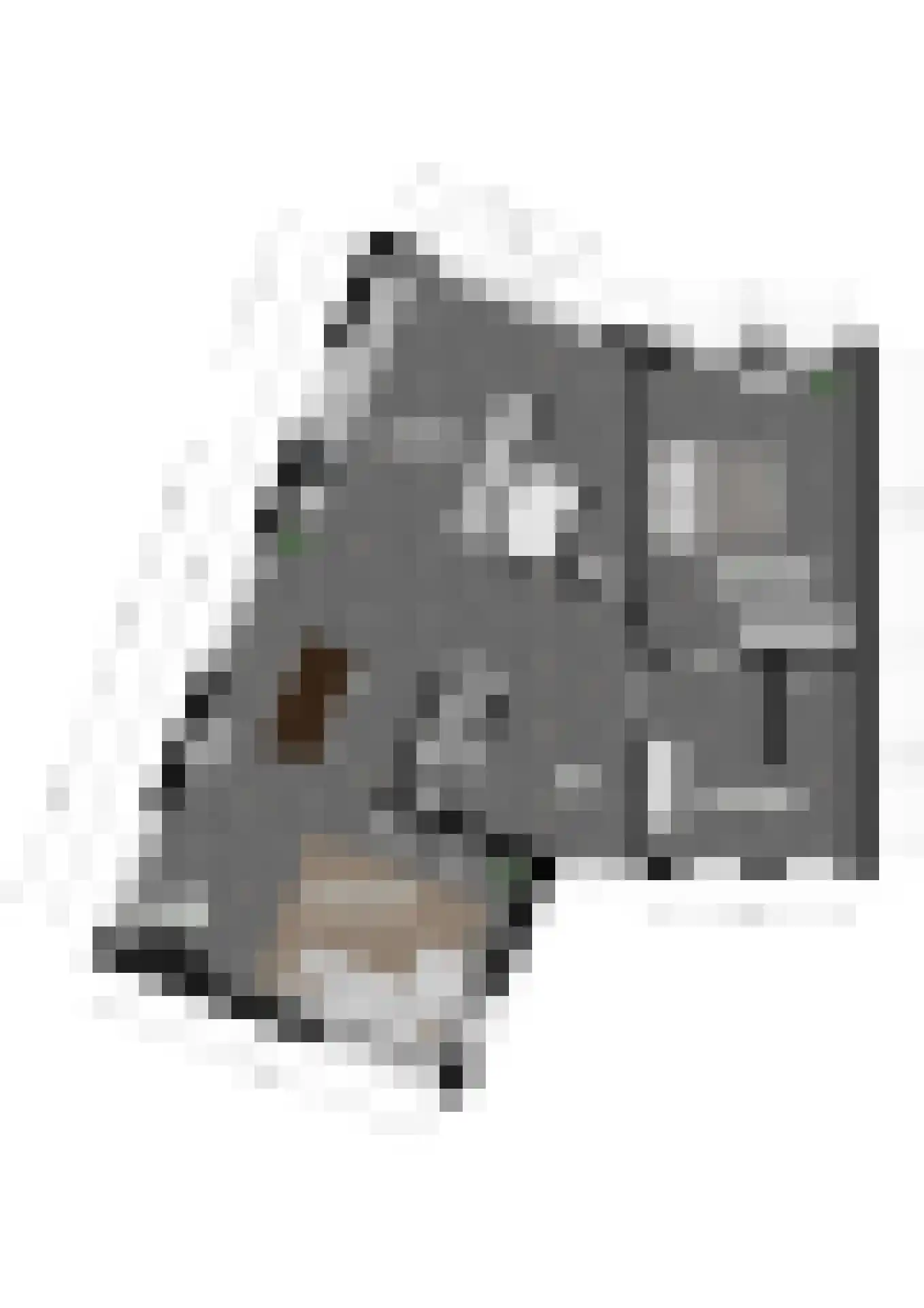 Wijngaardstraat 1 Elsloo thumbnail 39