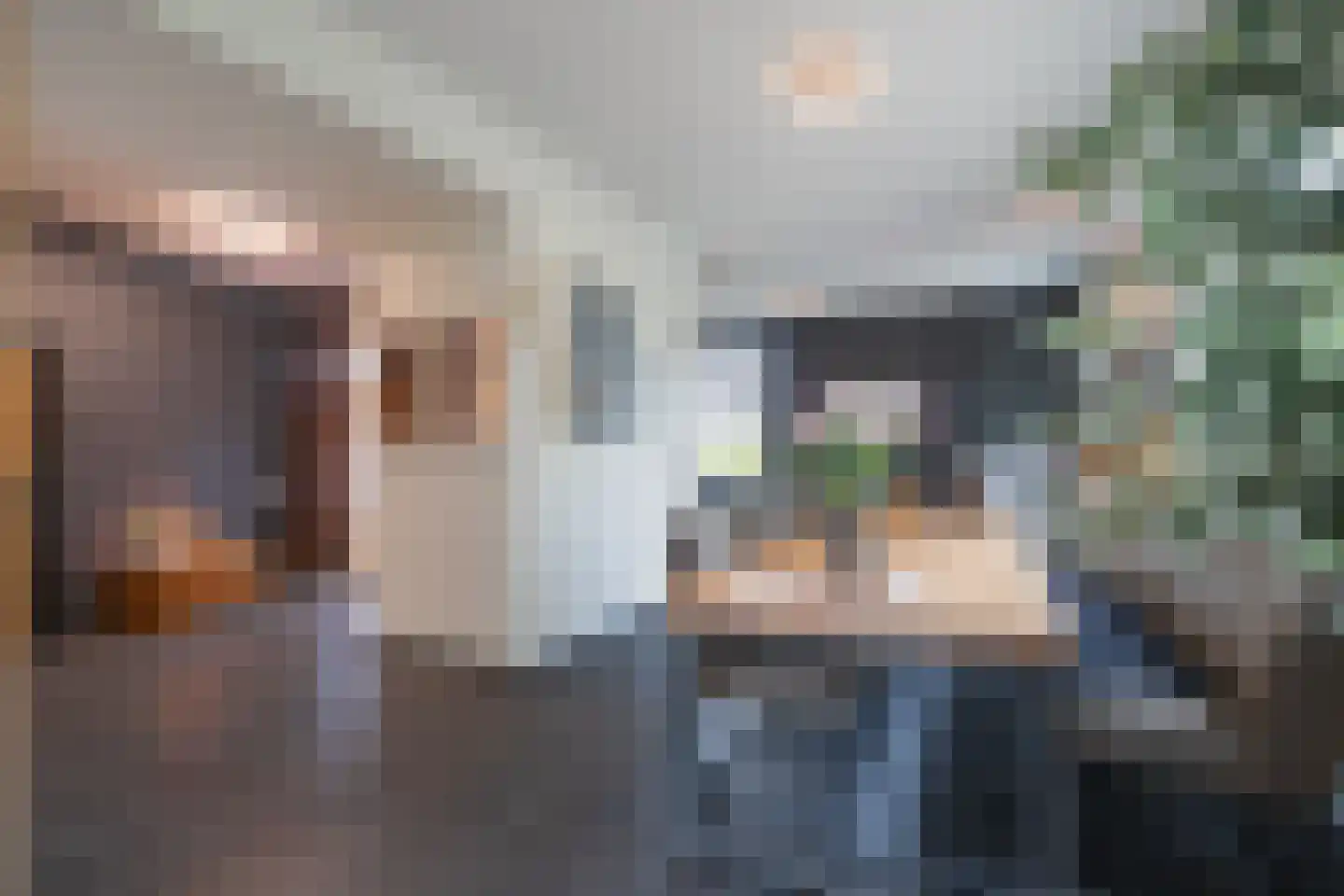 Wijngaardstraat 1 Elsloo thumbnail 6