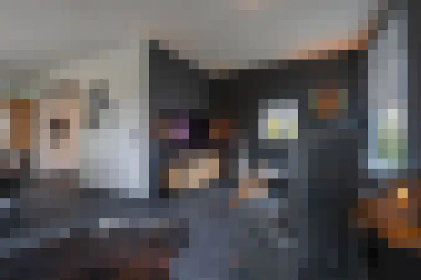 Wijngaardstraat 1 Elsloo thumbnail 8