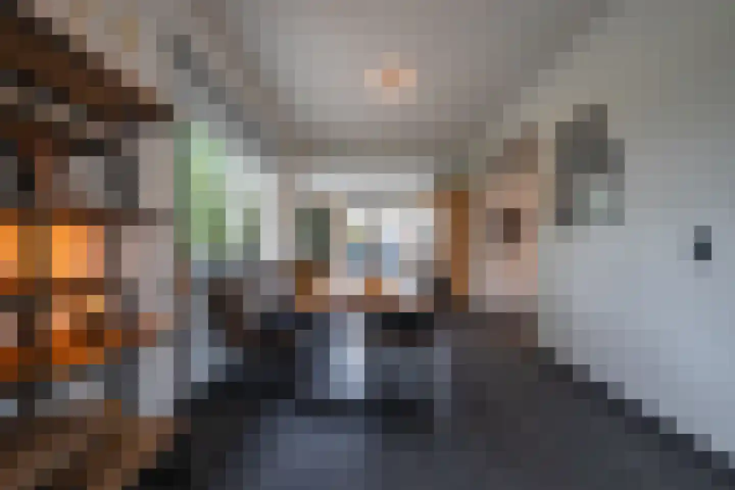 Wijngaardstraat 1 Elsloo thumbnail 9