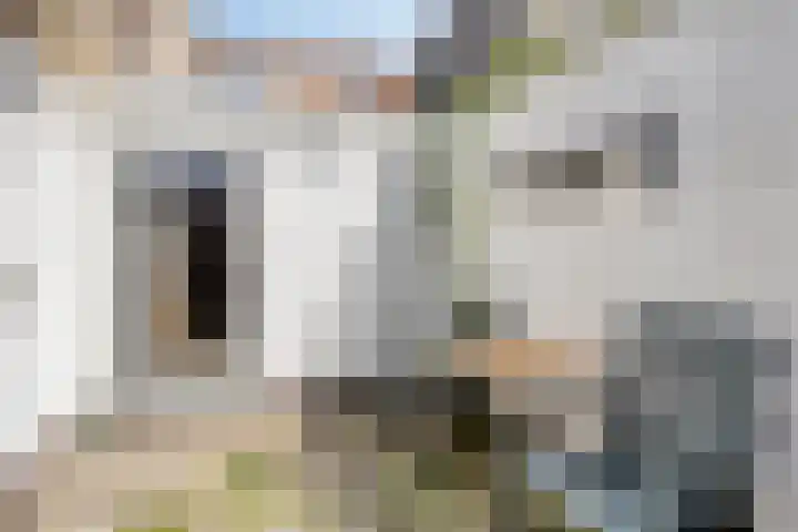 Wijngaardstraat 11 Bergen op Zoom thumbnail 19