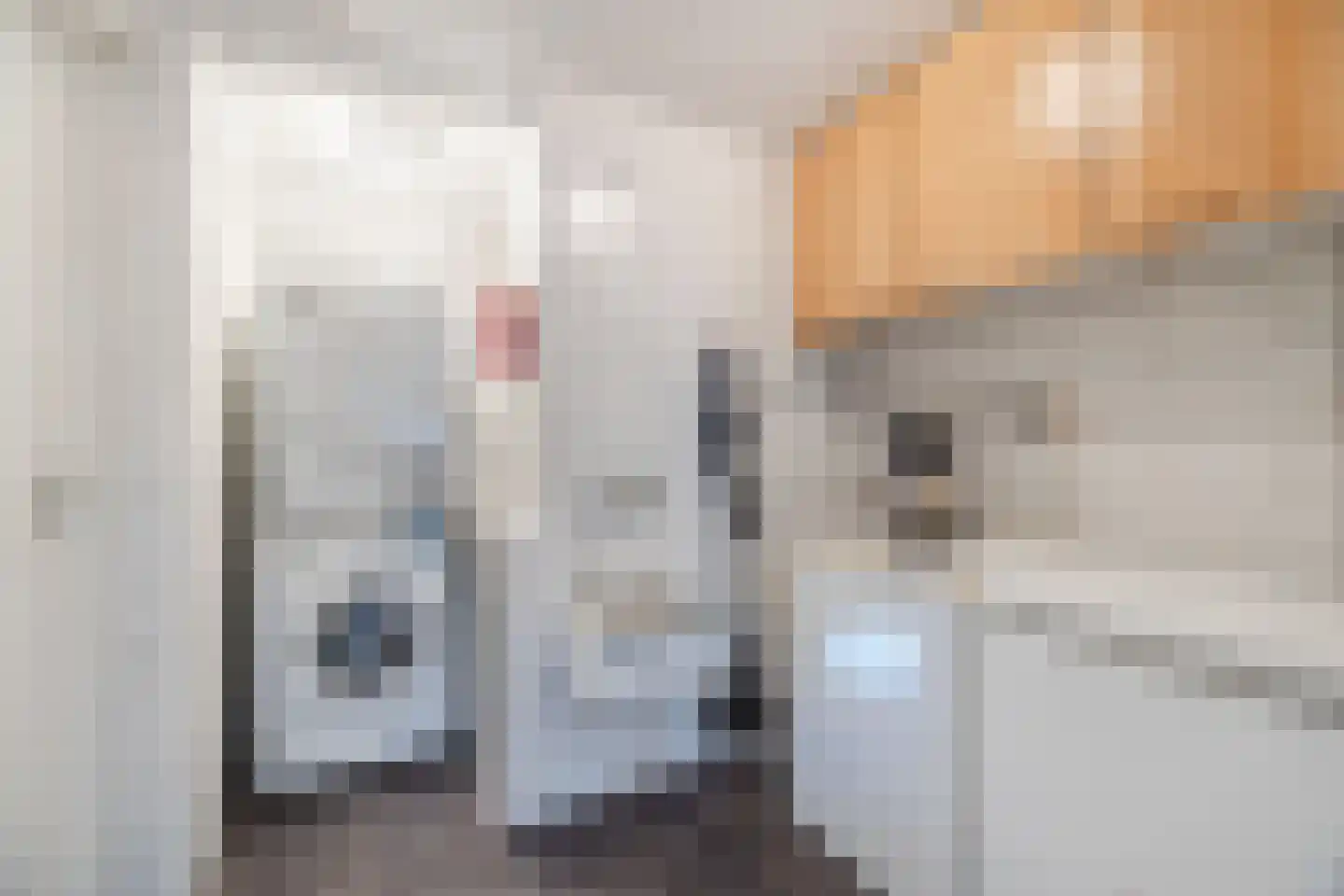 Wijngaardstraat 17 Bergen op Zoom thumbnail 18