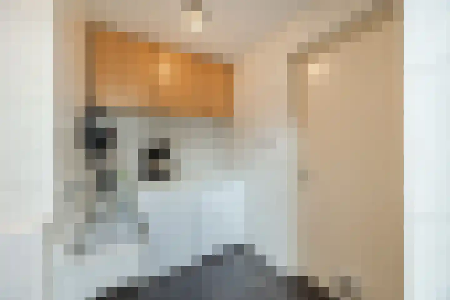 Wijngaardstraat 17 Bergen op Zoom thumbnail 19