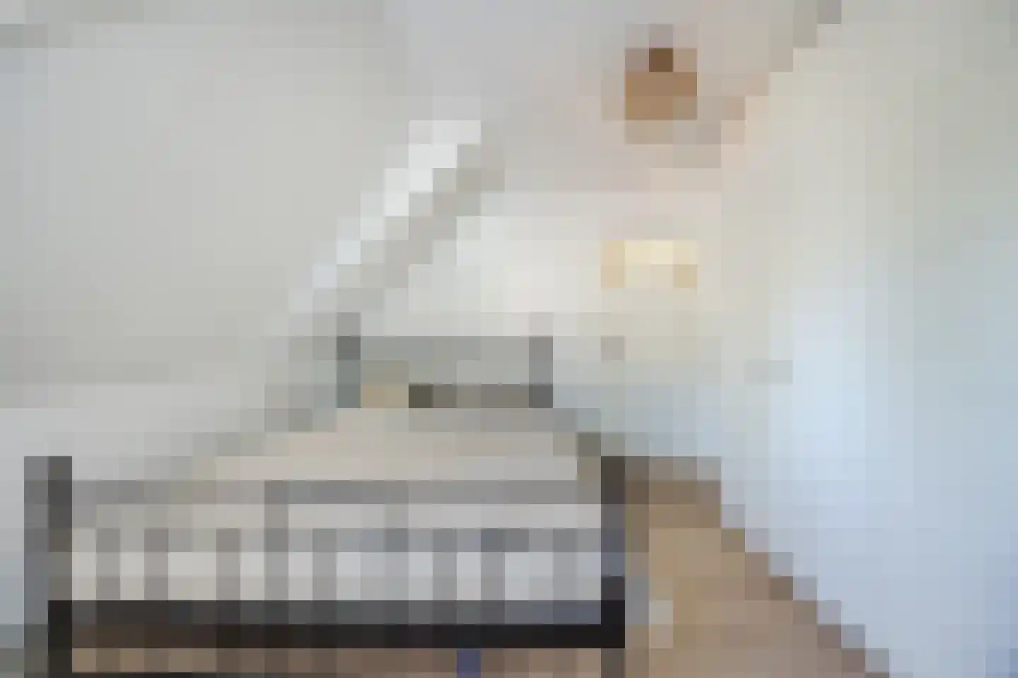 Wijngaardstraat 17 Bergen op Zoom thumbnail 21