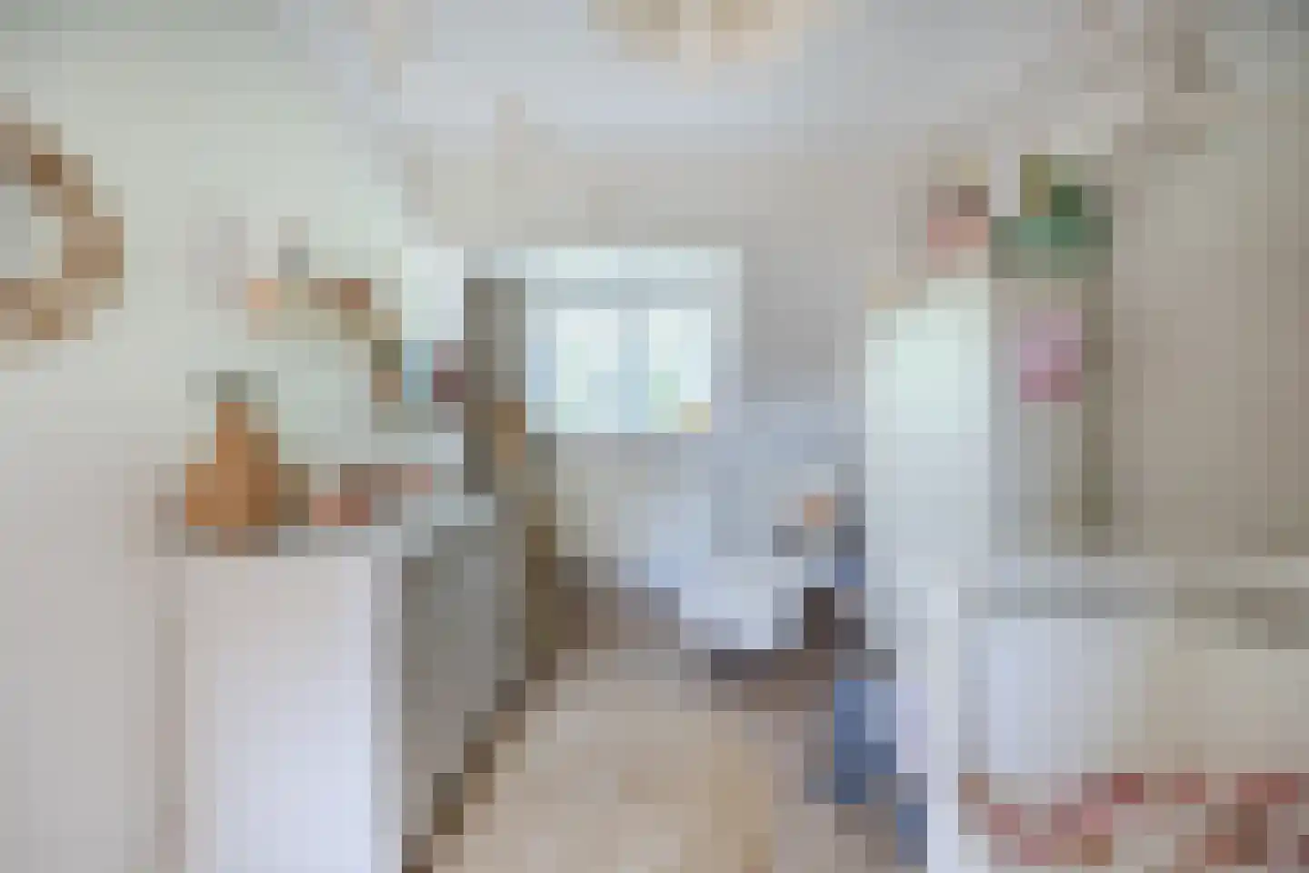 Wijngaardstraat 17 Bergen op Zoom thumbnail 23