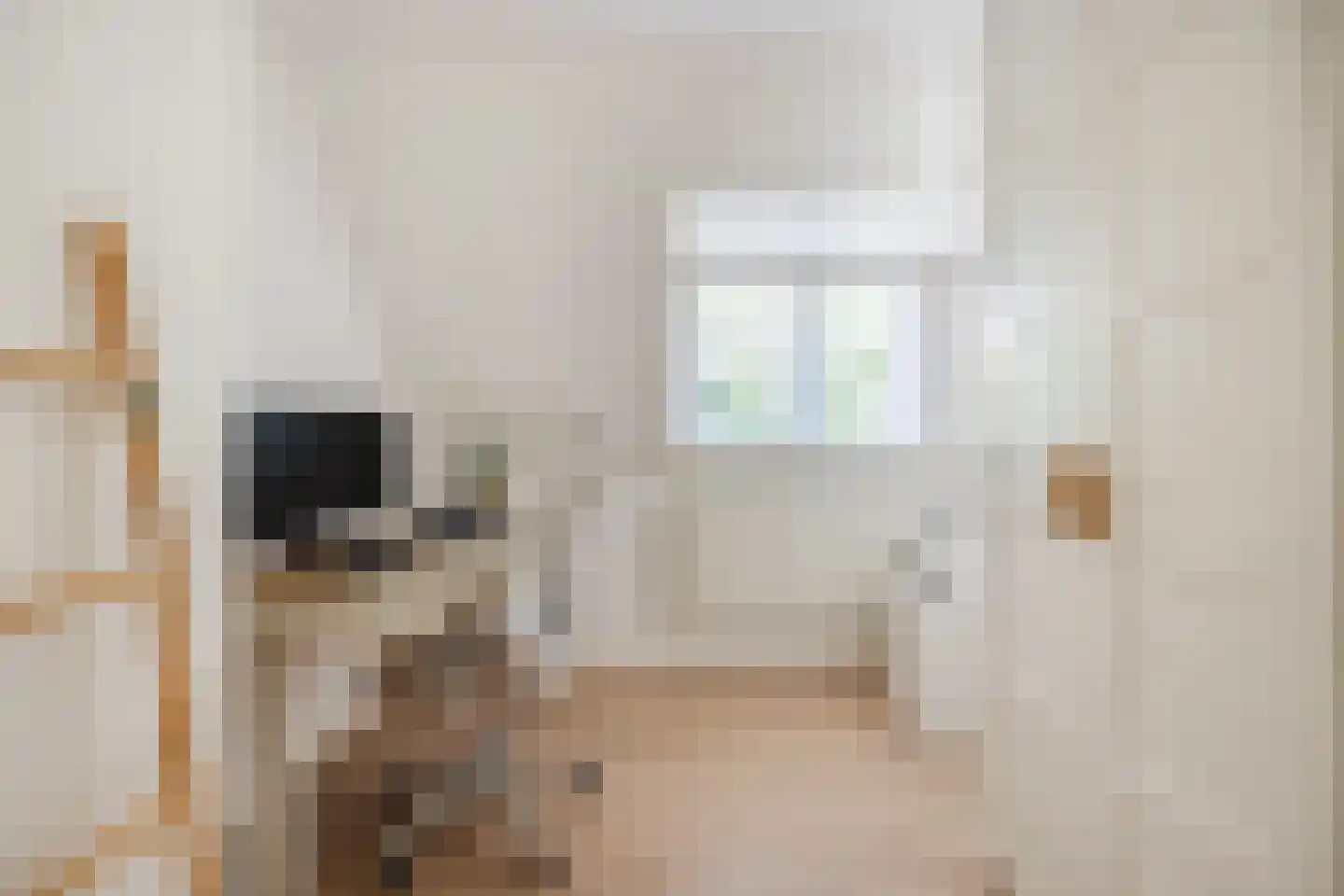 Wijngaardstraat 17 Bergen op Zoom thumbnail 25