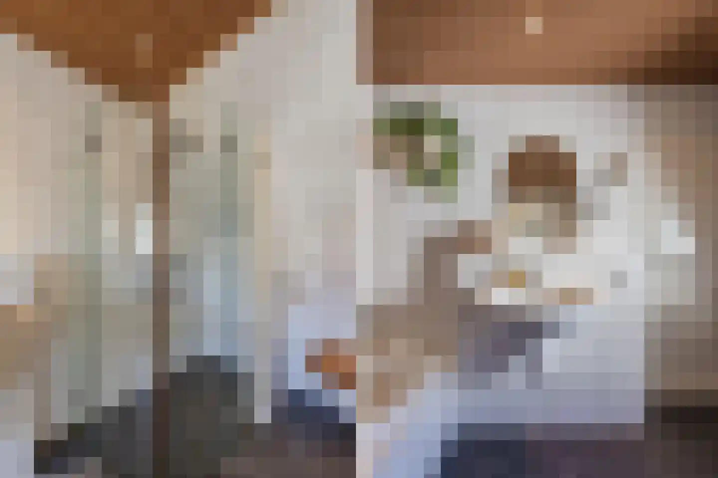 Wijngaardstraat 17 Bergen op Zoom thumbnail 31