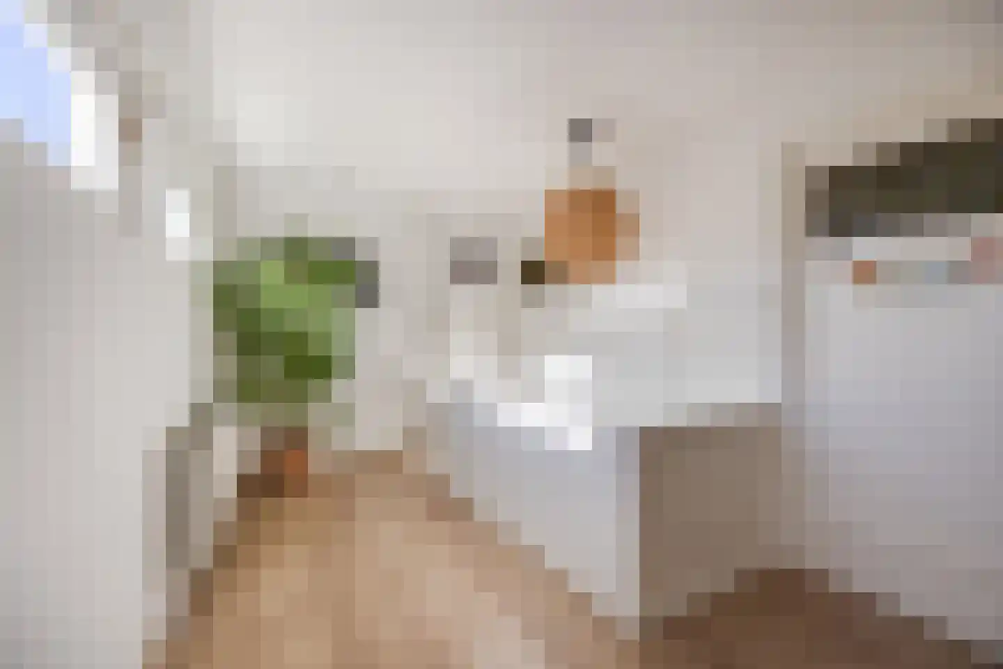 Wijngaardstraat 17 Bergen op Zoom thumbnail 32