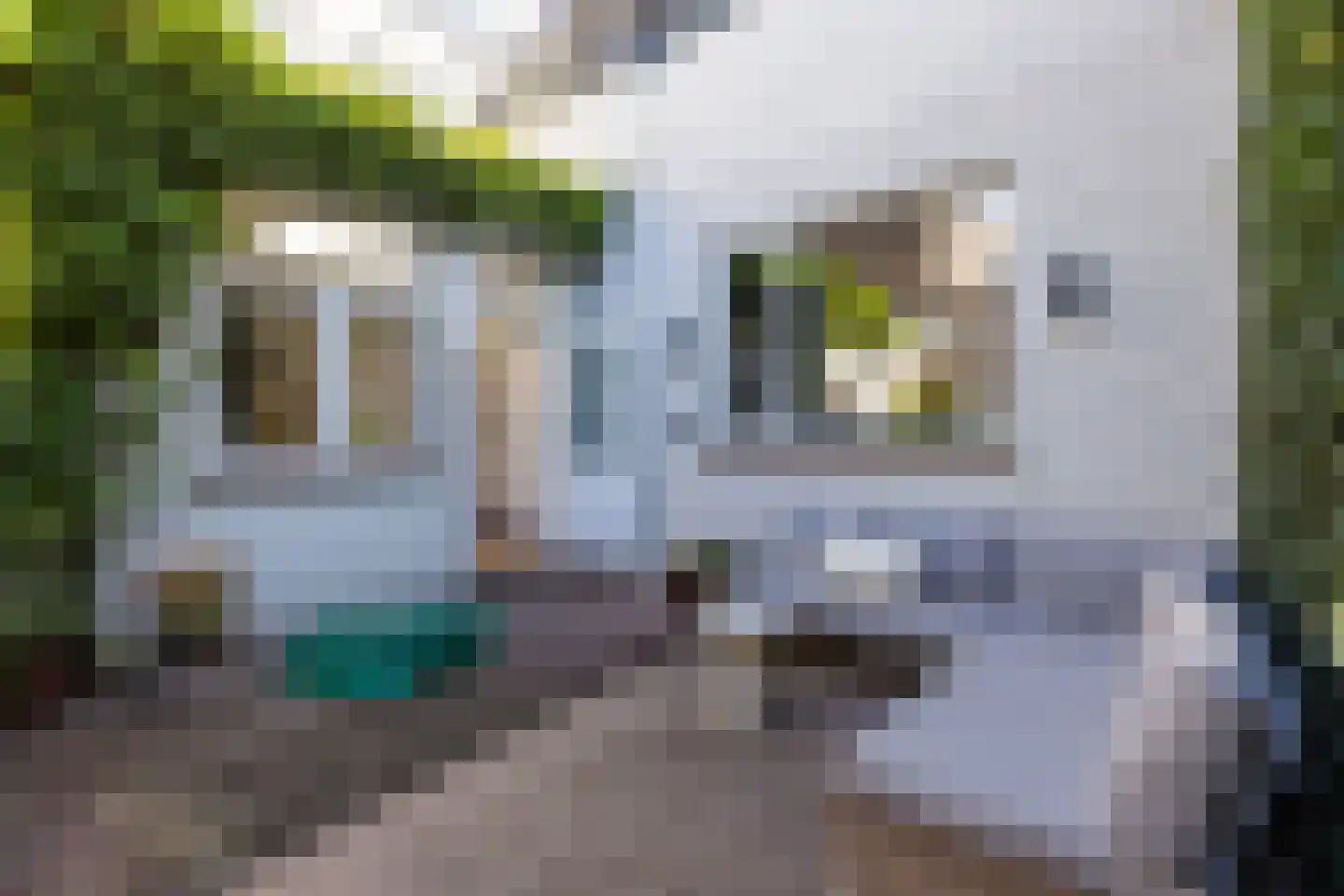 Wijngaardstraat 17 Bergen op Zoom thumbnail 34