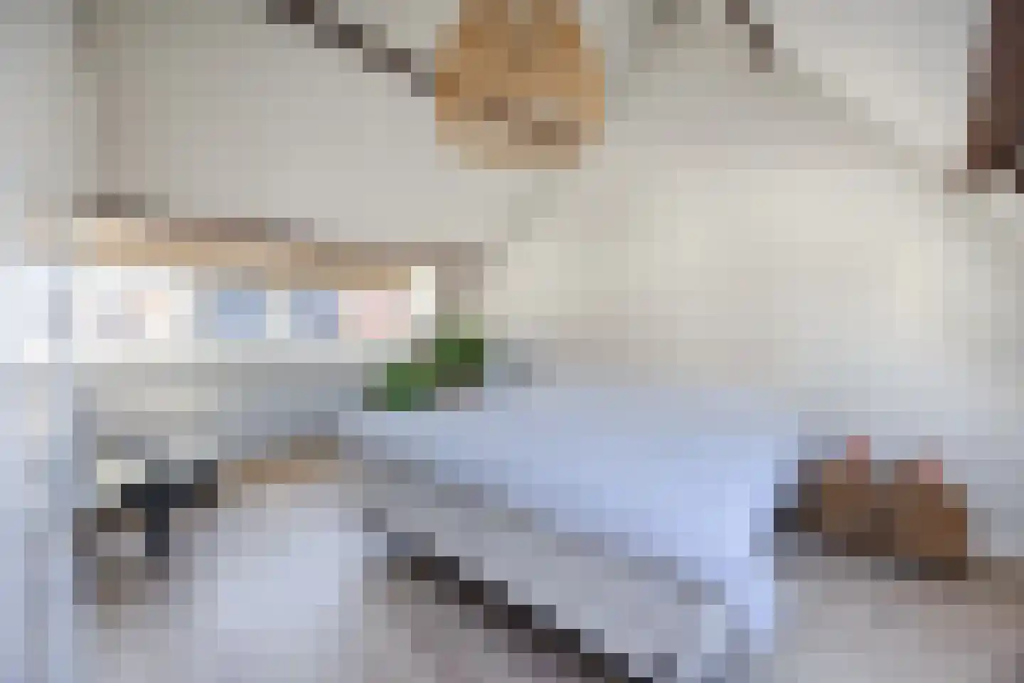 Wijngaardstraat 17 Bergen op Zoom thumbnail 5