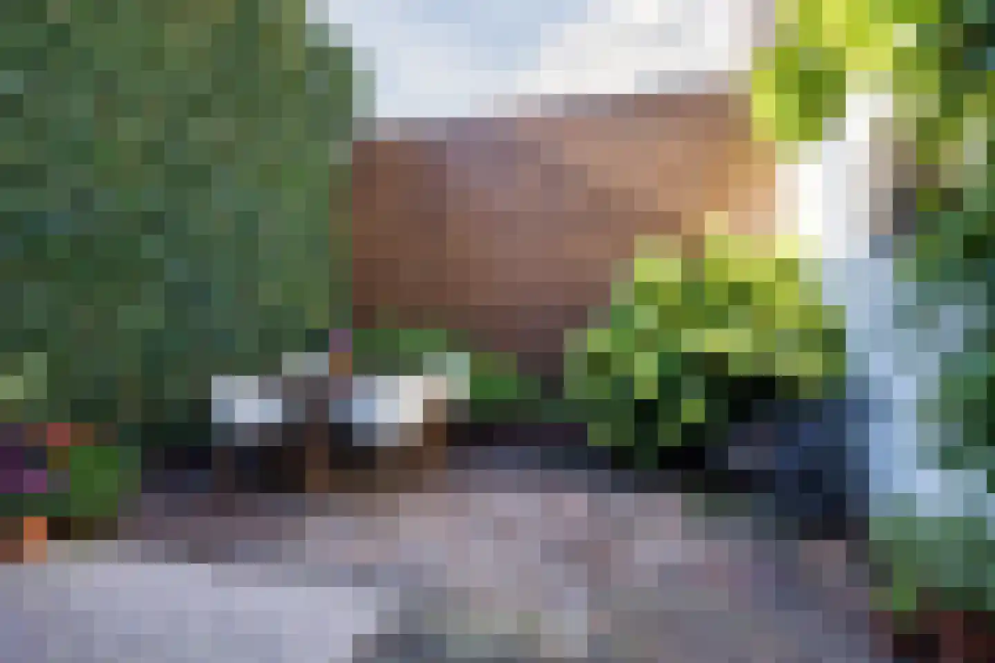 Wijngaardstraat 17 Bergen op Zoom thumbnail 6