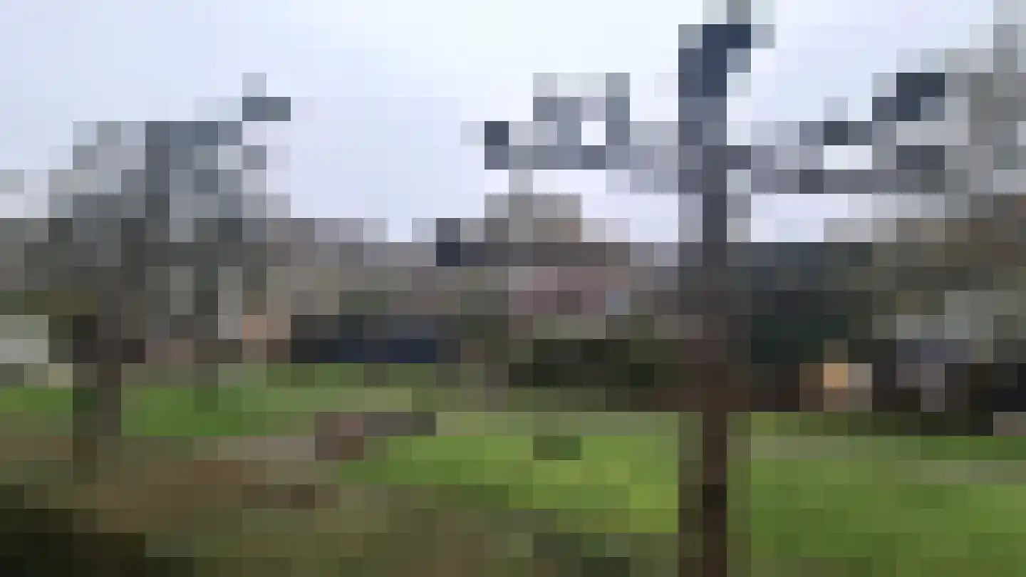 Wijngaardstraat 17 Dordrecht thumbnail 18