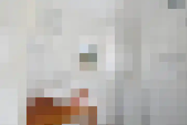 Wijngaardstraat 17 Veere thumbnail 24