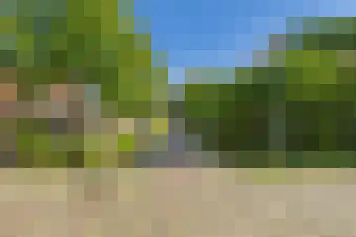 Wijngaardstraat 17 Veere thumbnail 4