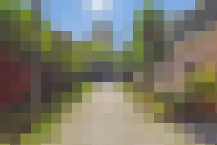 Wijngaardstraat 17 Veere thumbnail 5
